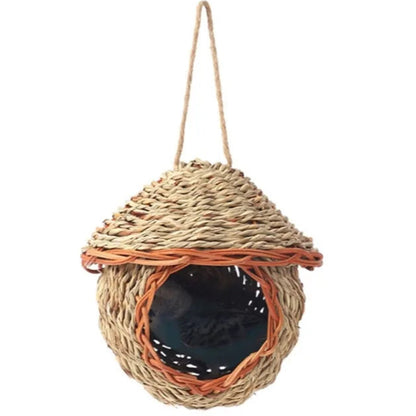 Natural Bird's Nest 