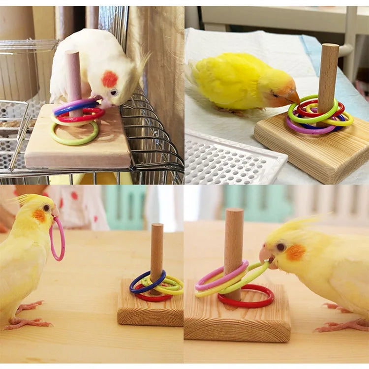 Bird toy set 