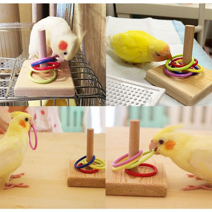 Bird toy set 
