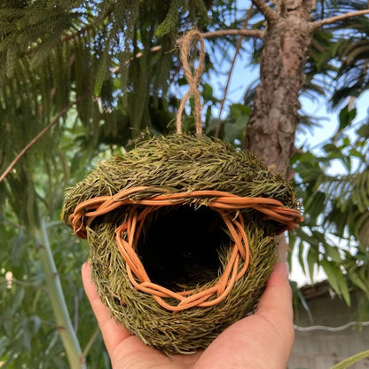 Natural Bird's Nest 