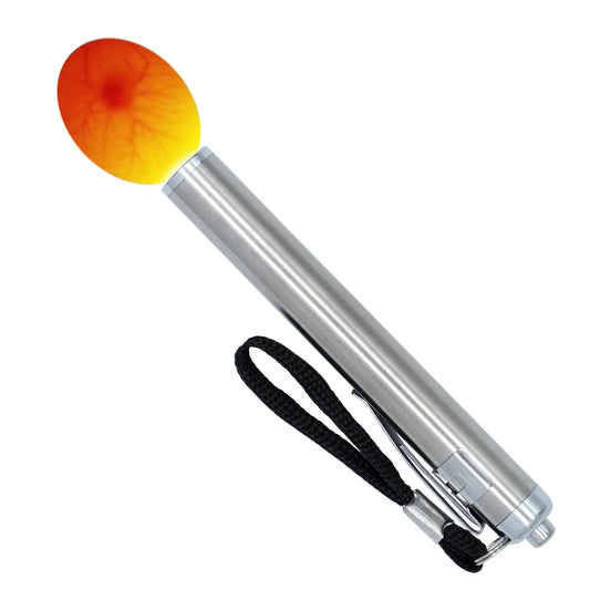 cold and bright LED light 