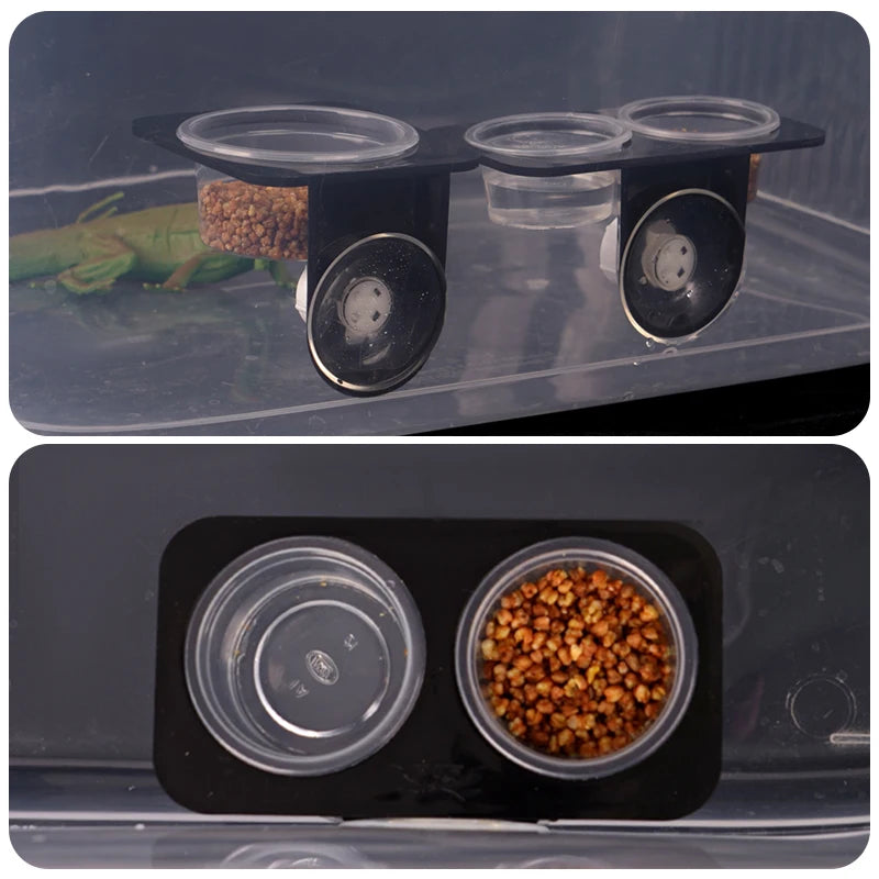 Reptile feeder with suction cup 