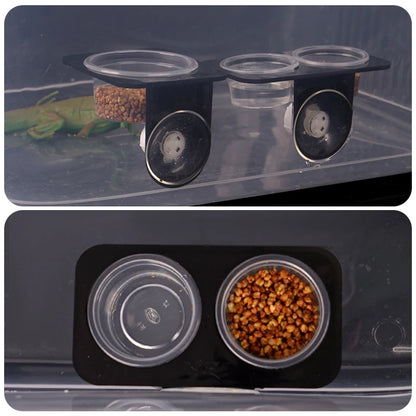 Reptile feeder with suction cup 