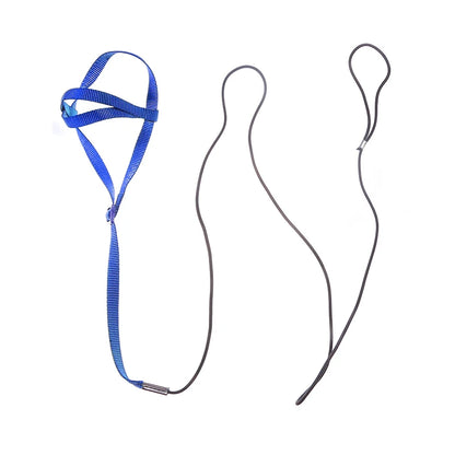 Anti-bite pull rope 