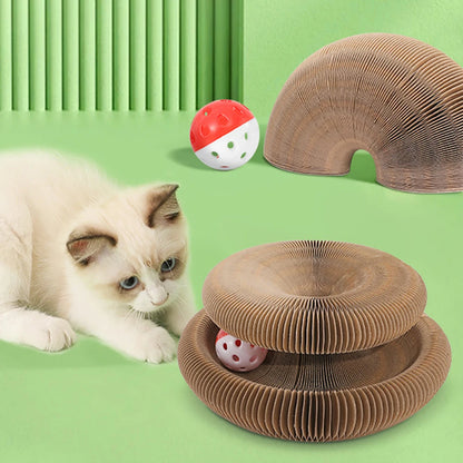 Transformation Ball for cat 