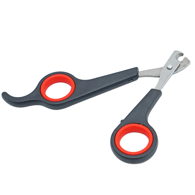 Nail scissors for birds 