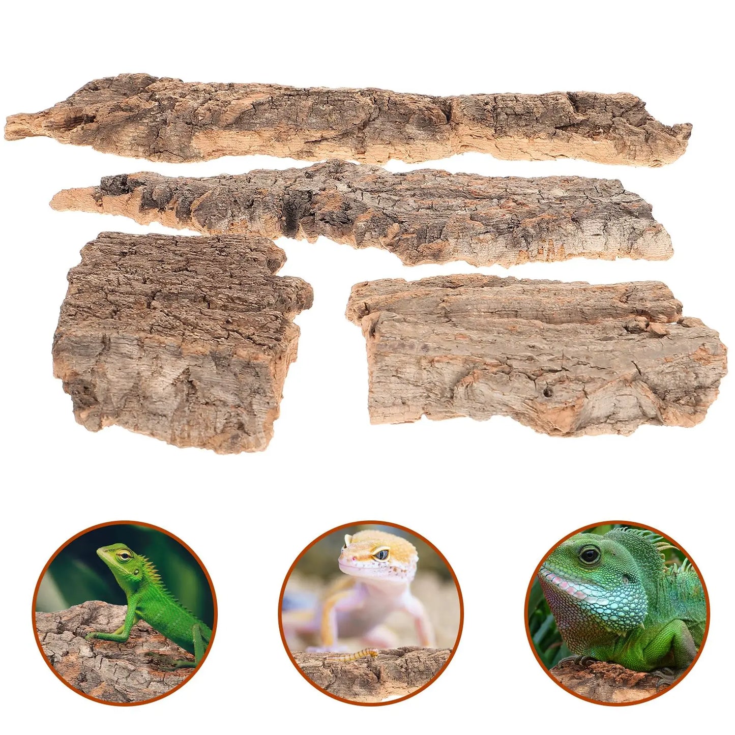 Natural cork bark decor for reptiles 