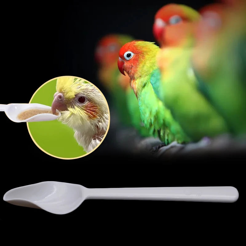 Plastic feeding spoons for baby birds 