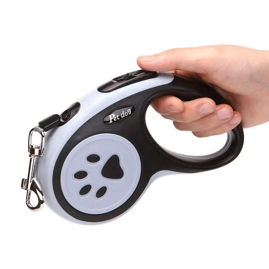 Nylon dog leash 