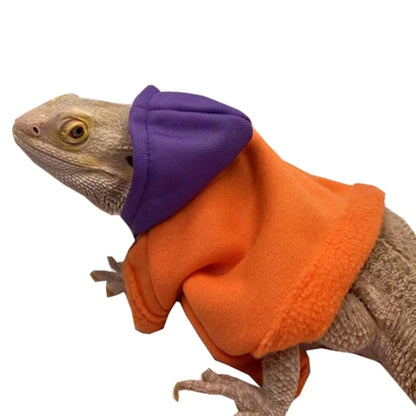 Lizard clothing 