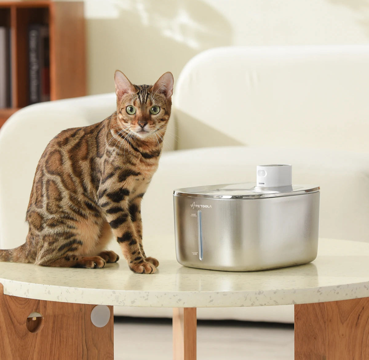 Water Fountain for Cat 