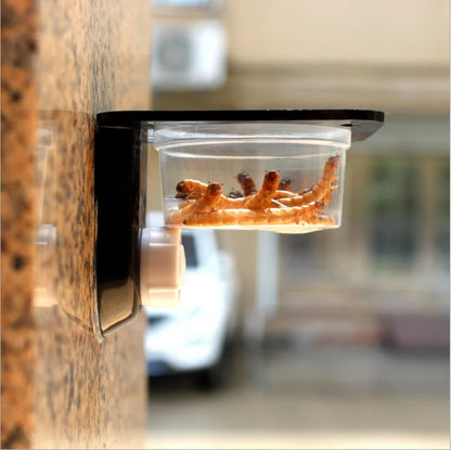 Reptile feeder with suction cup 