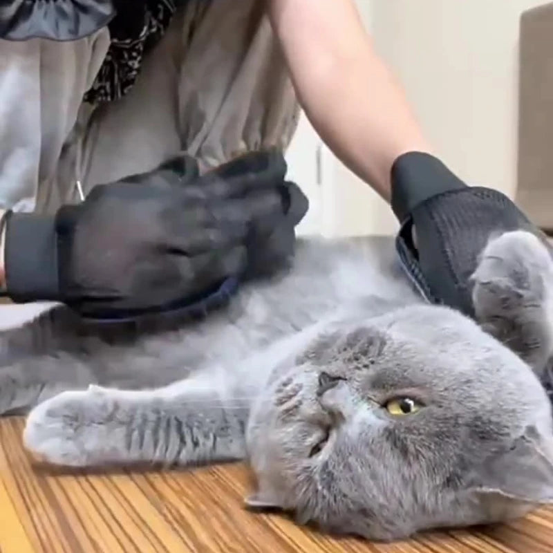 Silicone grooming gloves 