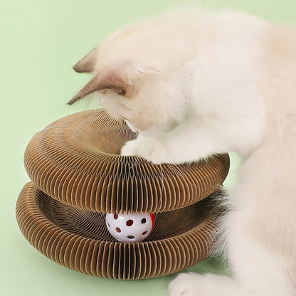 Transformation Ball for cat 
