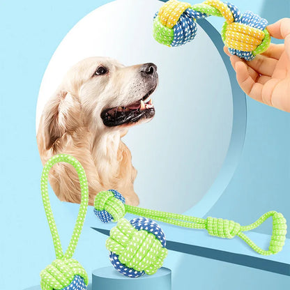 Interactive toys for companion dogs 