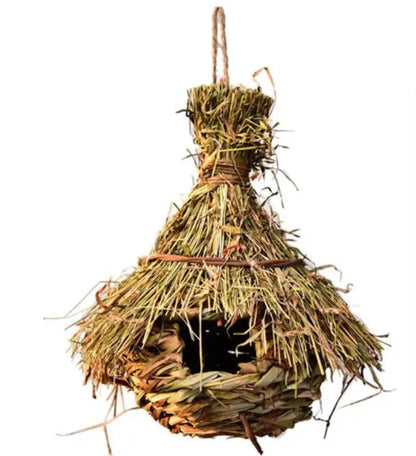 Natural Bird's Nest 