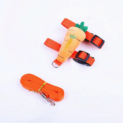 Leash set 