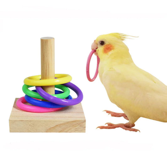 Bird toy set 