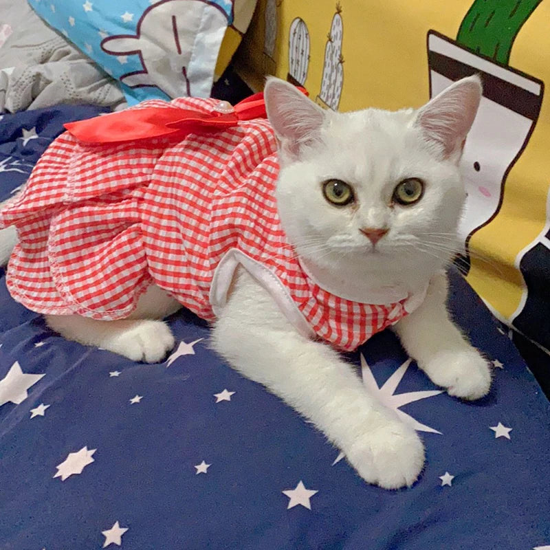 Princess dress for pets 