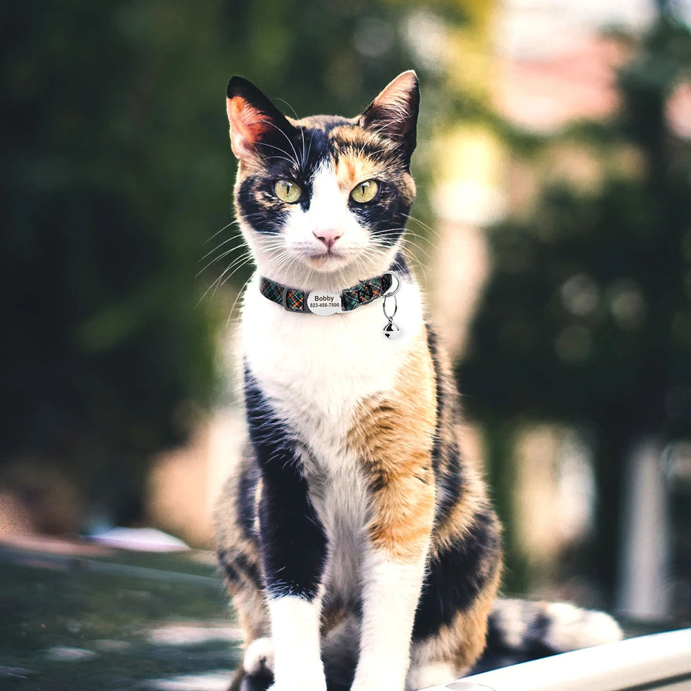 Personalized printed cat collar 