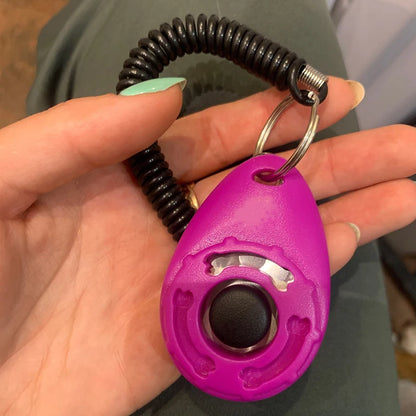 Pet training clicker 