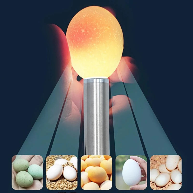 cold and bright LED light 