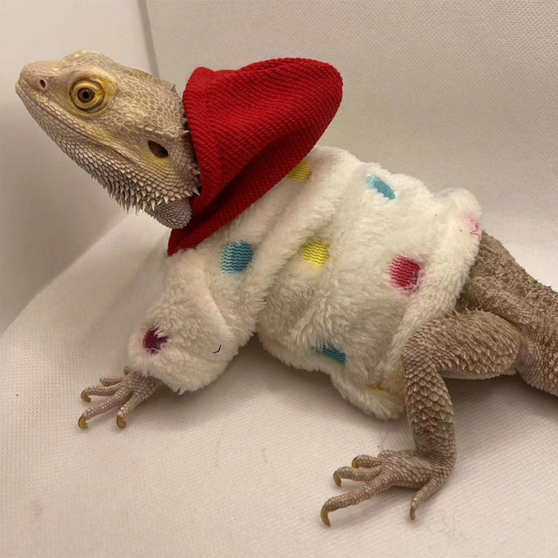 Lizard clothing 