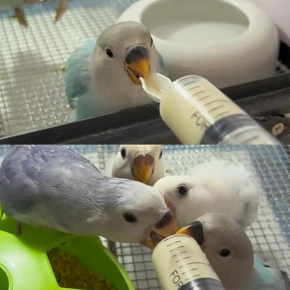 Spoon Feeder for Birds and Parrots 