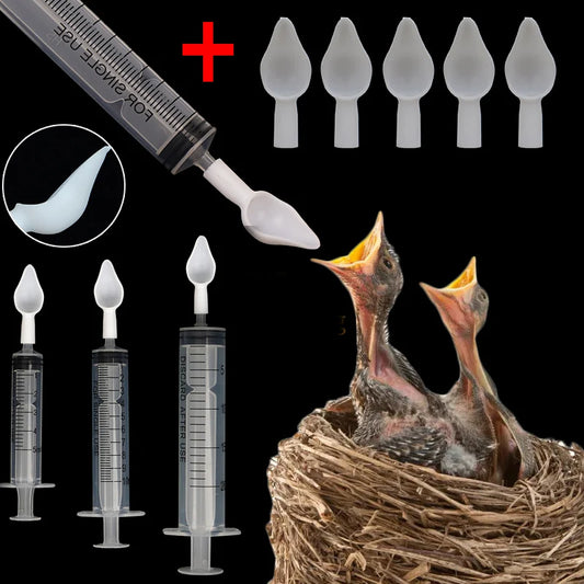 Spoon Feeder for Birds and Parrots 