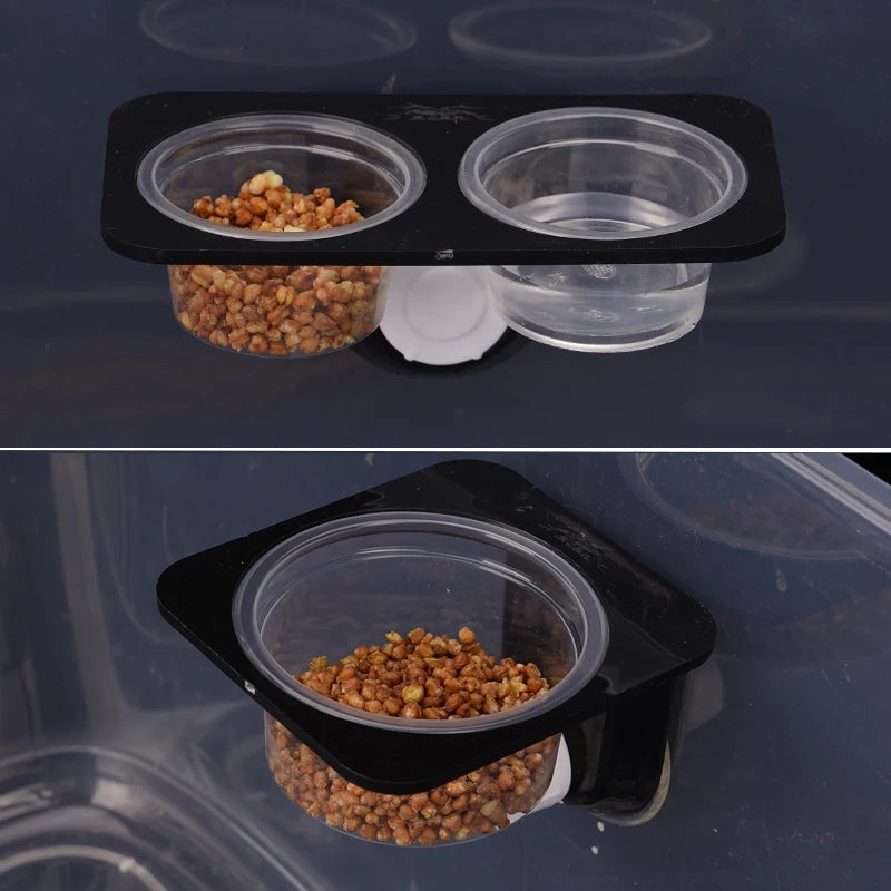 Reptile feeder with suction cup 