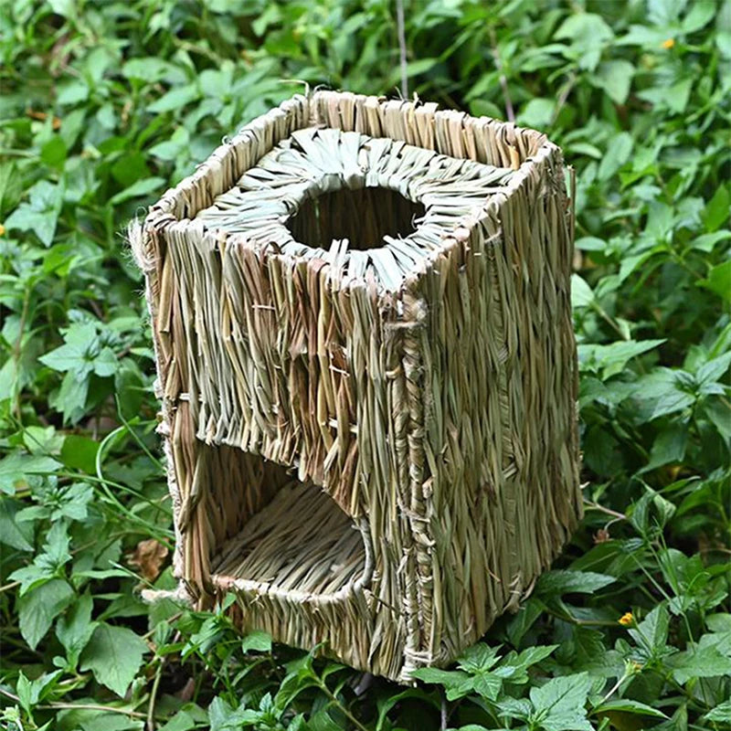 Rabbit Cages 